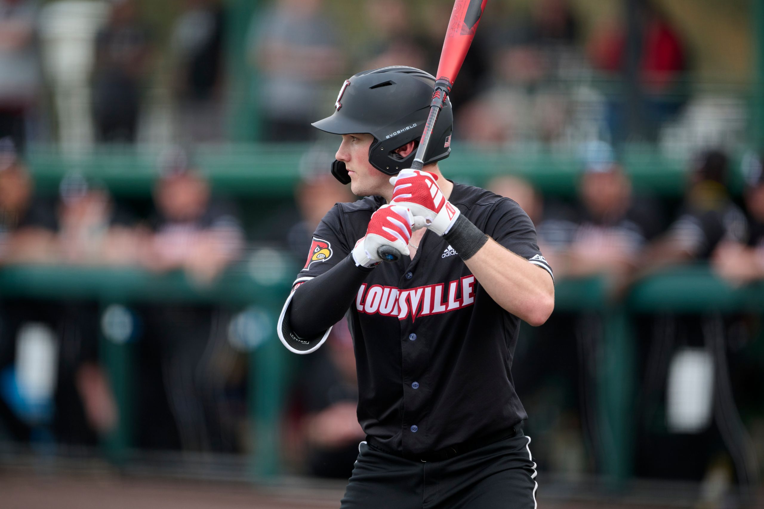 Louisville Cardinals Matt Klein (25) bats during an NCAA baseball game against the UConn Huskies on February 16, 2024 at USF Baseball Stadium in Tampa, Florida