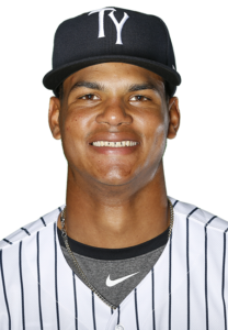 Albert Abreu Yankees Top Prospects