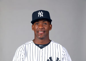 Miguel Andujar Yankees Top Prospects